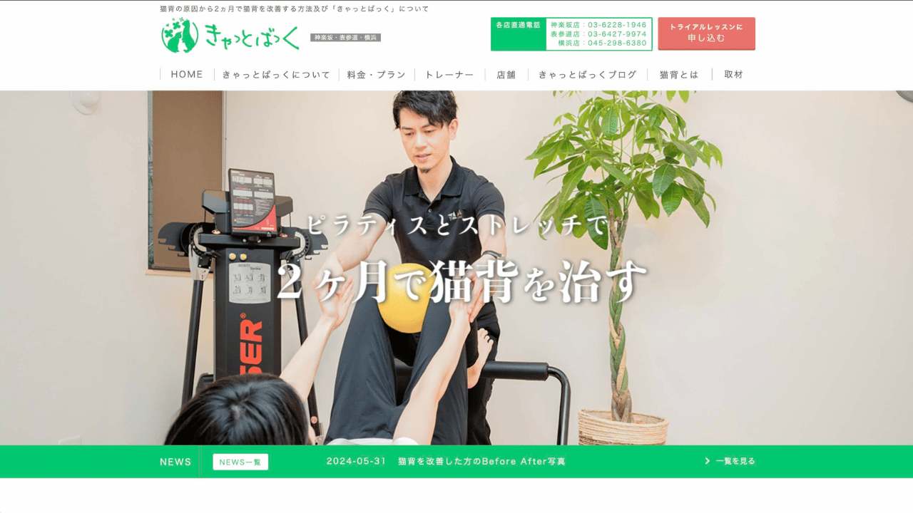 きゃっとばっく公式